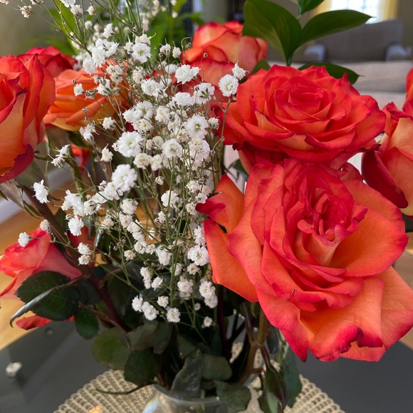 Meet your Posher, Annie - Picture 1 of 1